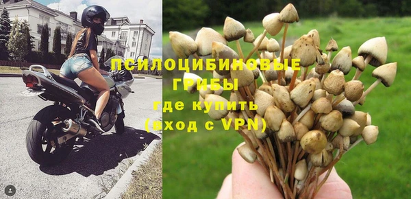 СК Горнозаводск