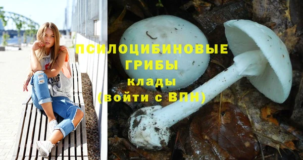 наркотики Горняк
