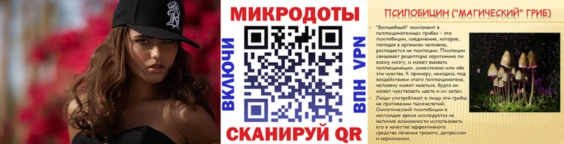 Галлюциногенные грибы Psilocybe Зеленогорск
