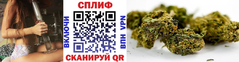 Канабис конопля Зеленогорск